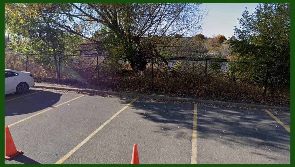 Reverse parking rows at the back of Victoria Terrace Plaza