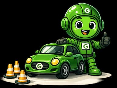 Greeny ready for a calm, supportive in-car driving lesson