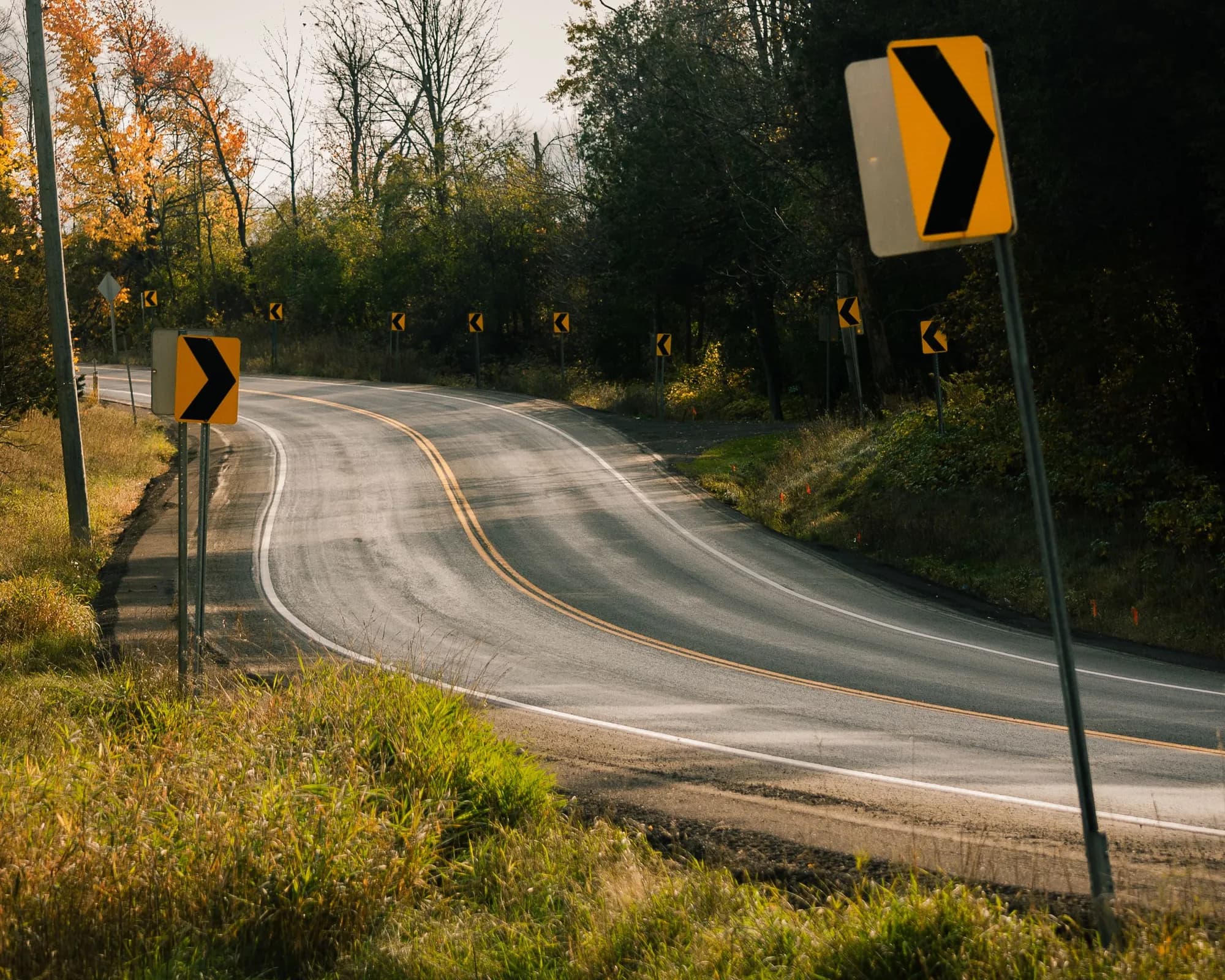 A two-lane road curving through autumn trees in Rockwood, Ontario, with yellow chevron signs along the bend